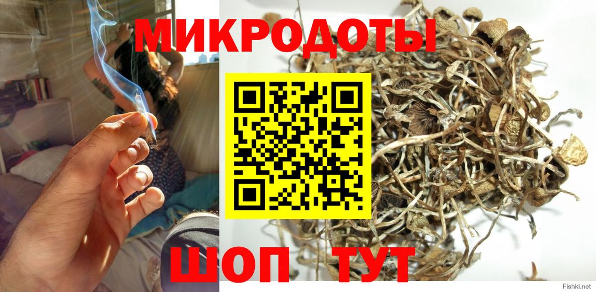 Галлюциногенные грибы GOLDEN TEACHER  Вход с VPN  Минеральные Воды  Псилоцибиновые грибы мухоморы 